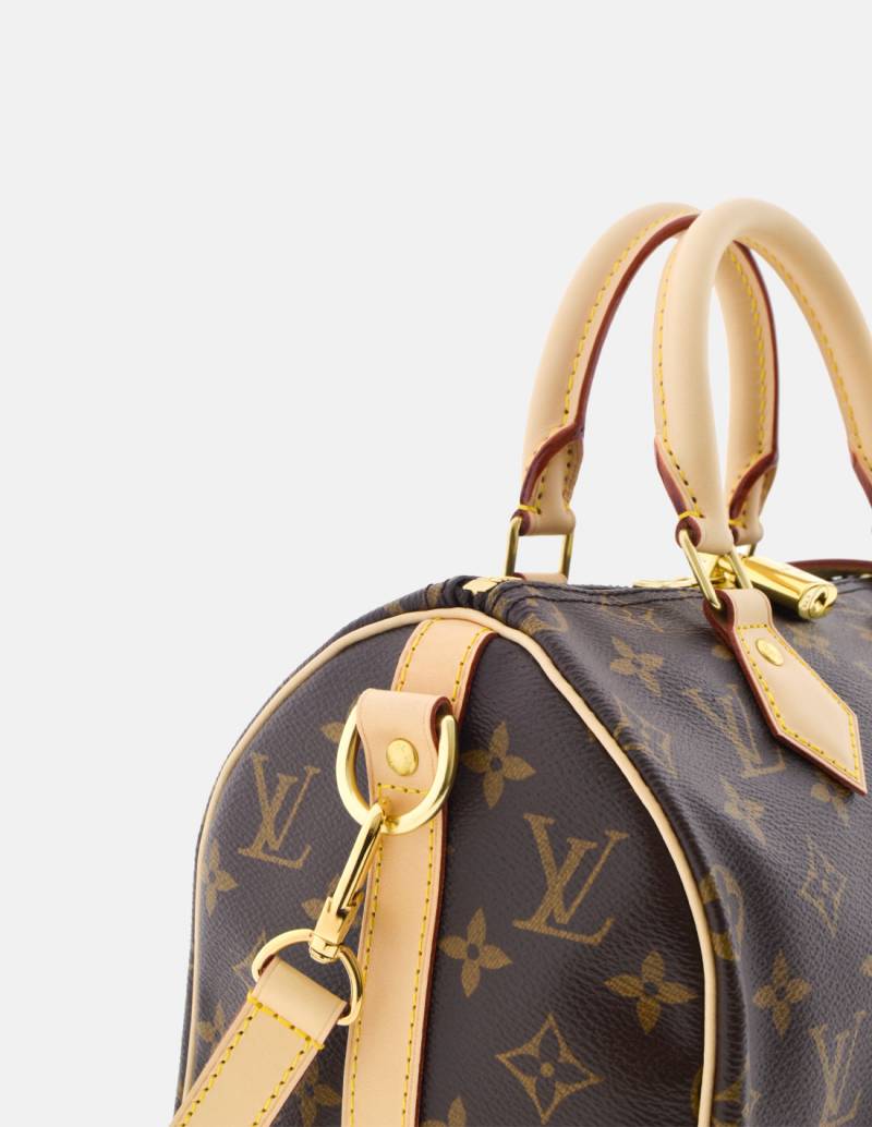 Louis Vuitton Speedy 25 Bag with Shoulder Strap