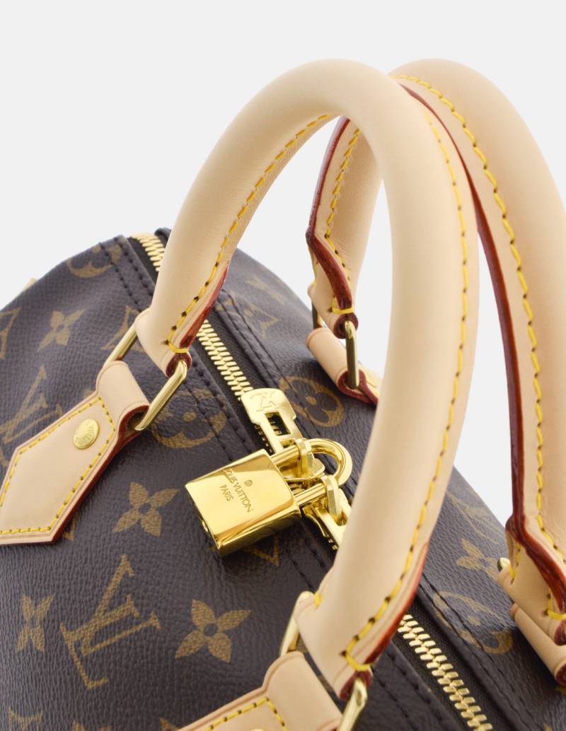 Louis Vuitton Lv garden speedy shoulder strap 25. Golden Cloth ref.976840 -  Joli Closet